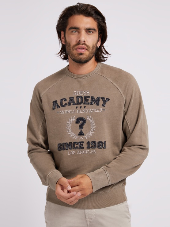 Guess Pulover Z Vezenimi Našitki Rjava