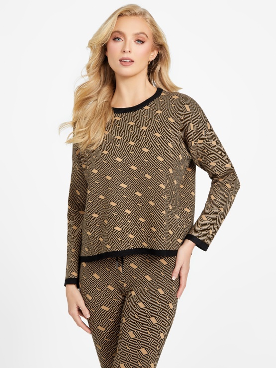 Eko Boxy Cachet Pulover Guess Toasted Taupe Multi