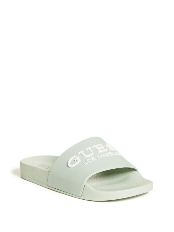 Diapozitivi Z Logotipom Sage Guess Leo