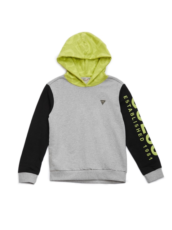 Eko Barvni Pulover S Kapuco (7-14) Guess Light Stone Heather